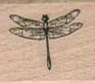 Dragonfly/Teensy/Clear 3/4 x 3/4-0