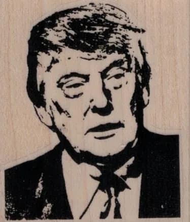 President Donald Trump 2 x 2 1/4-0