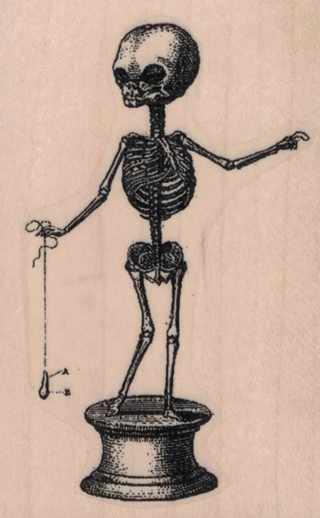 Creepy Skeleton Specimen 2 1/4 x 3 1/2-0